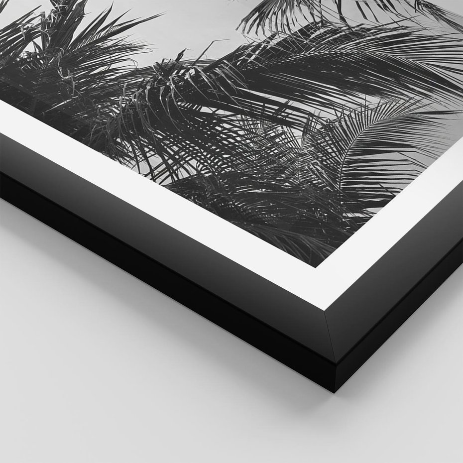 Plakat w ramie 40x50 - Palmy w Monochromii - palmy, tropikalne palmy - rama czarna