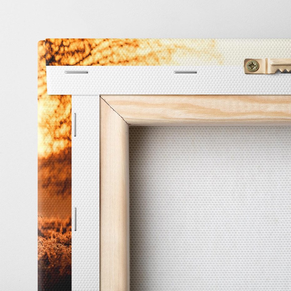 Obraz na płótnie 50x50 - Magia jesiennego słońca: Jeleń w promieniach - jeleń, jesień