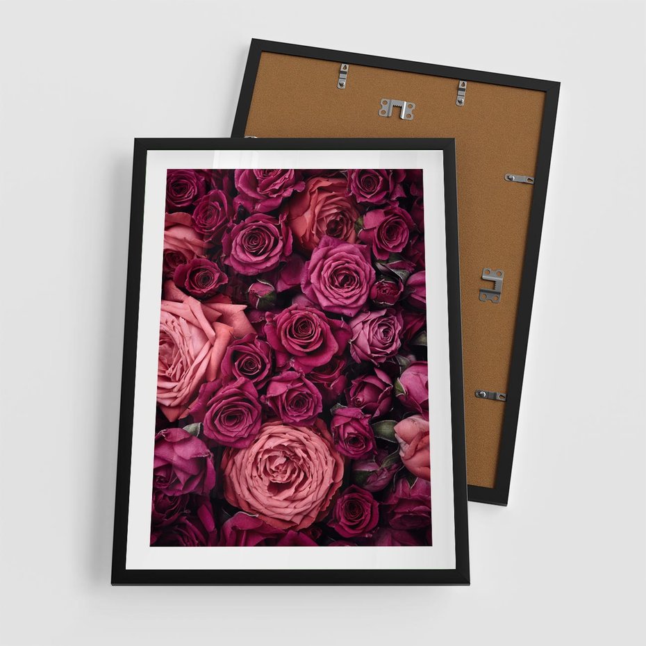 Plakat w ramie 50x70 - Róże - piękno kwiatów - róże, kwiaty - rama czarna