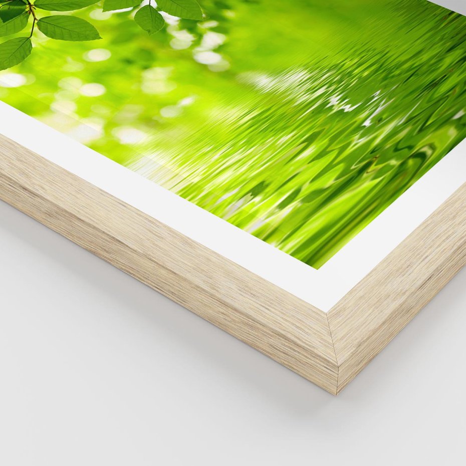 Plakat w ramie 50x70 - Liście w Wodzie - liście, woda - rama drewno