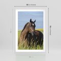 Plakat w ramie 50x70 - Siła i piękno natury - koń, łąka - rama biała
