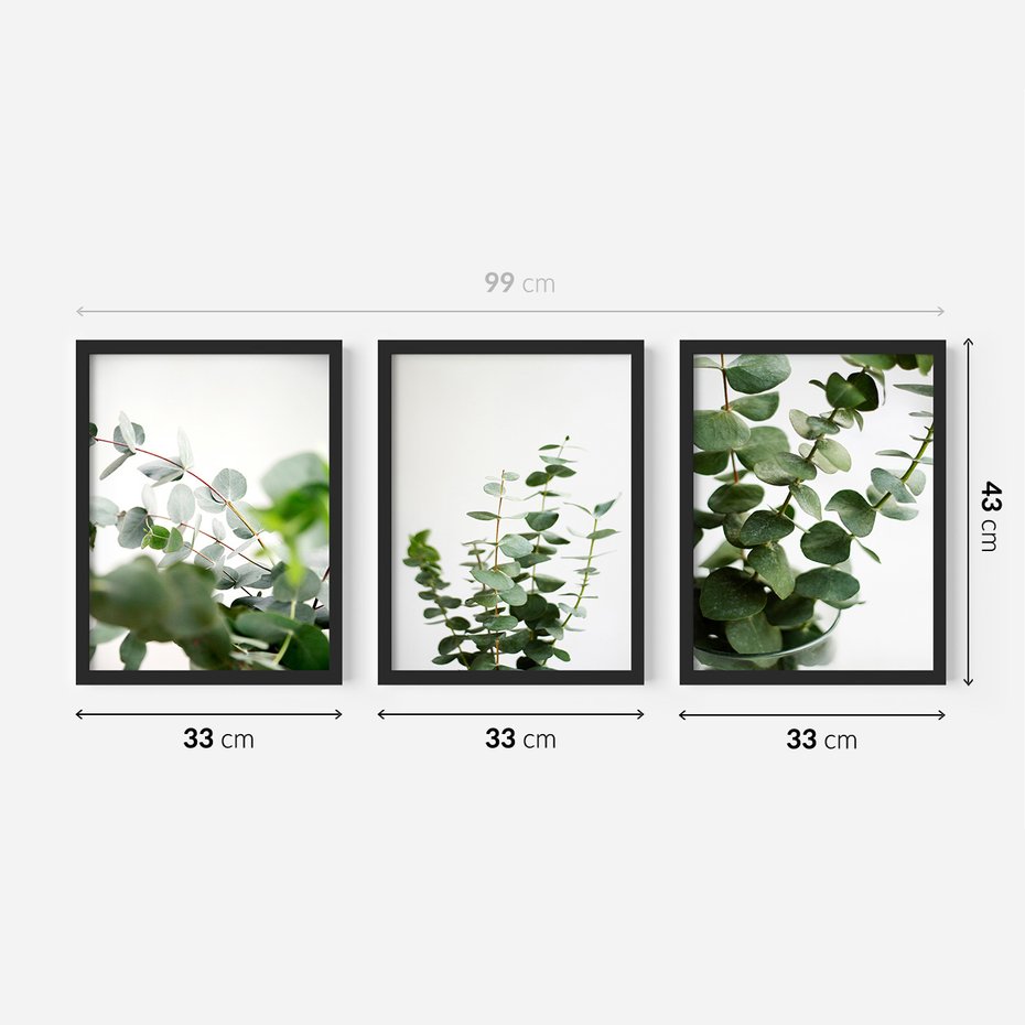 Zestaw obrazy w ramie 30x40 galeria - Eukaliptus, zielone, liście, minimalizm - rama czarna