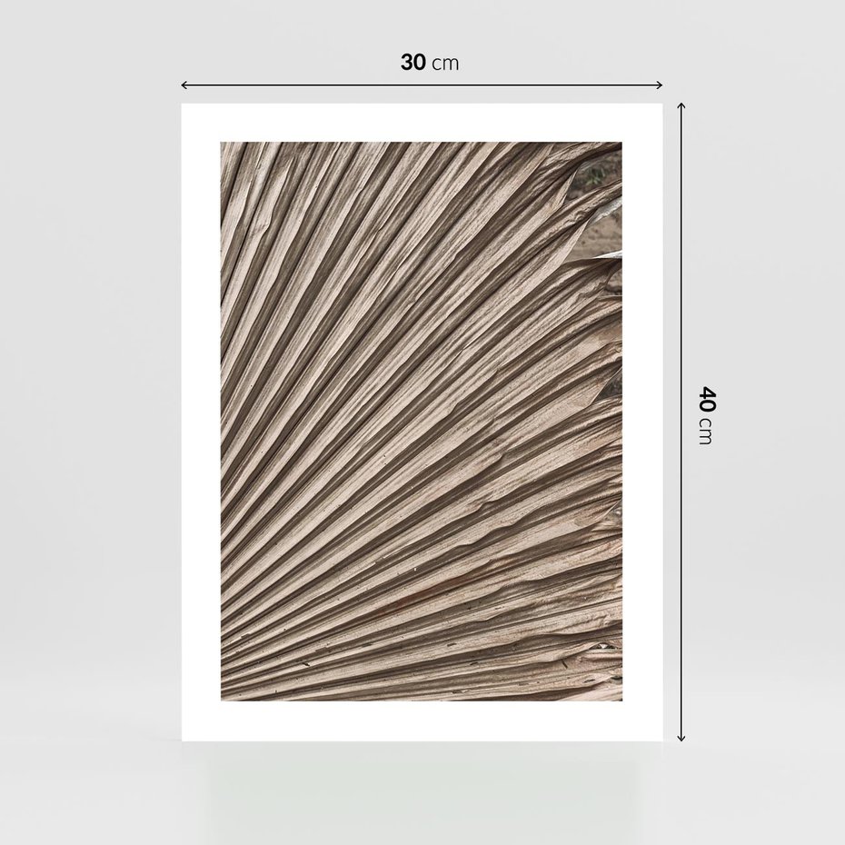 Plakat bez ramy 30x40 - Liść Palmy w Wyjątkowej Kompozycji - suchy liść palmy, boho styl