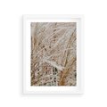 Plakat w ramie 30x40 - Beżowa Trawa - suche trawy, zbliżenie - rama biała