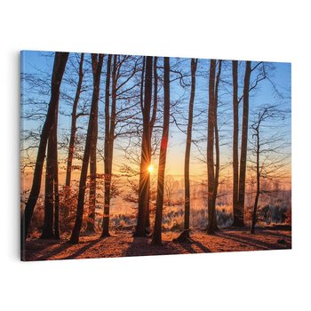 Obraz na płótnie 120x80 - Zachód słońca w jesiennym lesie - zachód słońca,