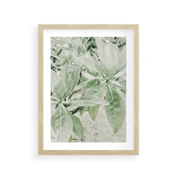Plakat w ramie 30x40 - Jasnozielone Liście w Kompozycji - liście, jasna zieleń - rama drewno