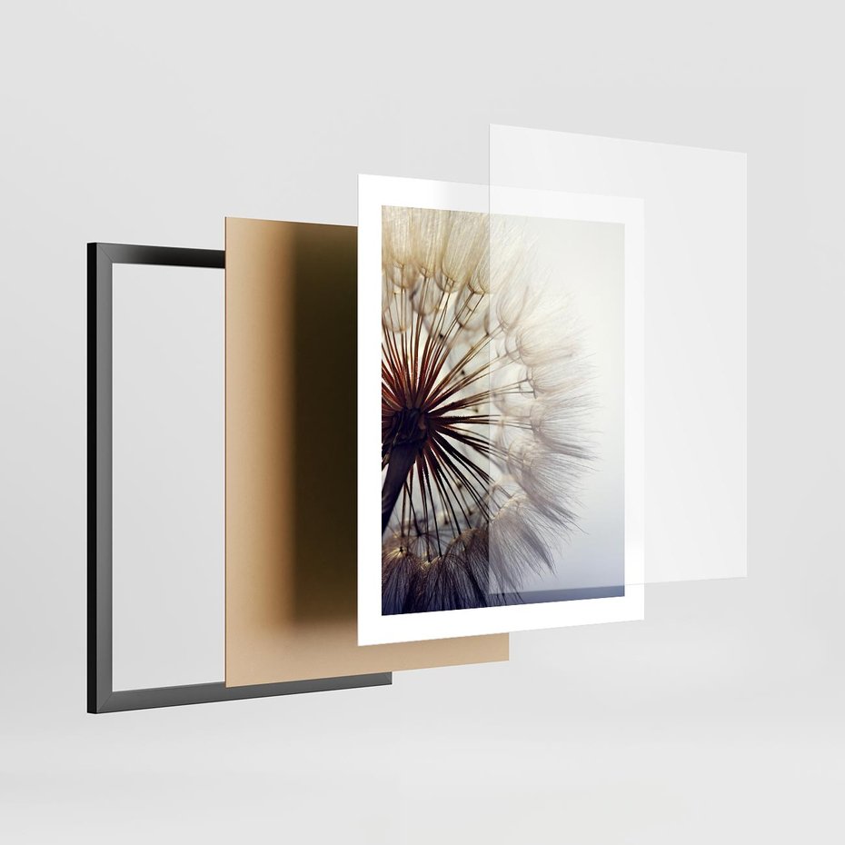 Plakat w ramie 40x50 - Makro piękno dmuchawca - makro, dmuchawiec - rama czarna