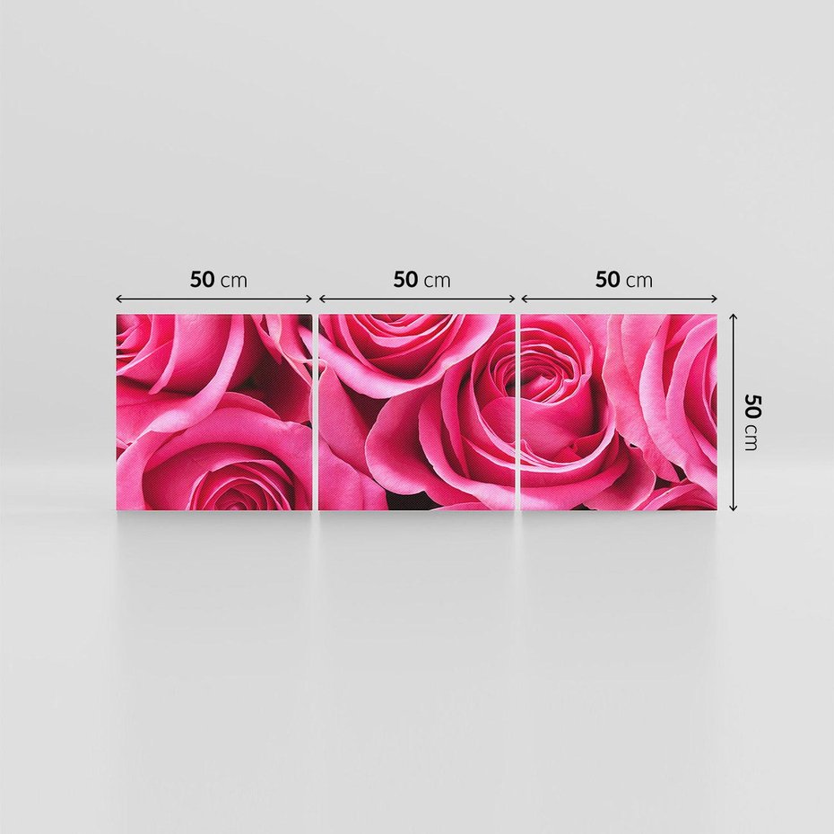 Obraz na płótnie 150x50 - Romantyczne róże w pełnym rozkwicie - róże, kwiaty