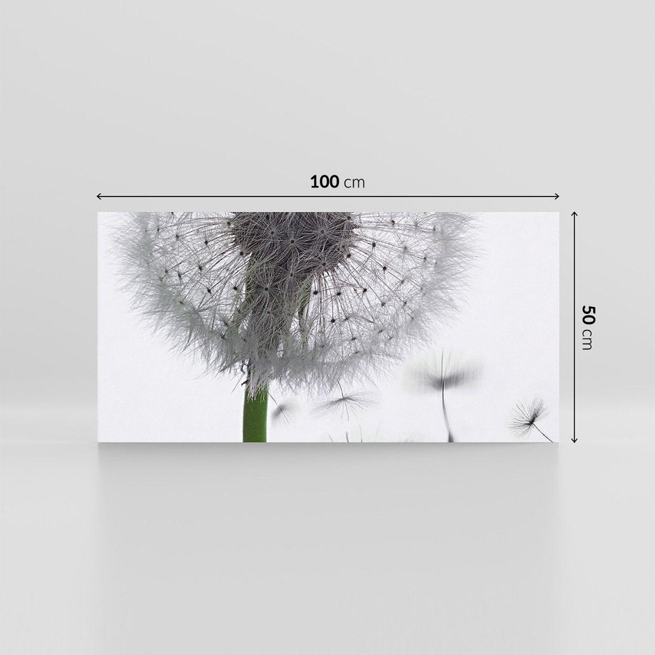 Obraz na płótnie 100x50 - Lekkość Przemijania - dmuchawiec, makro