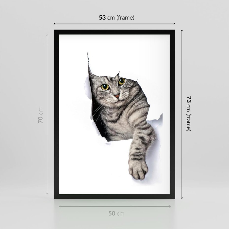 Plakat w ramie 50x70 - Tajemniczy kot i jego świat - kot, dziura - rama czarna