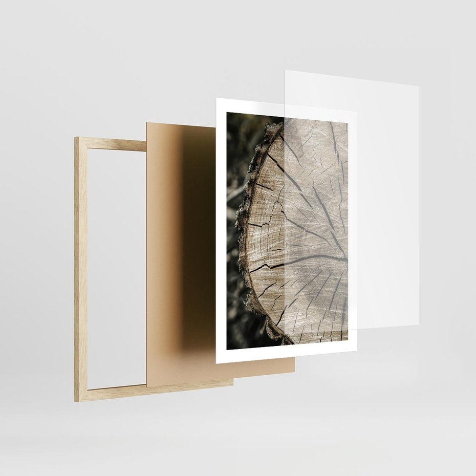 Plakat w ramie 50x70 - Wnętrze Natury - pień, przecięty pień - rama drewno