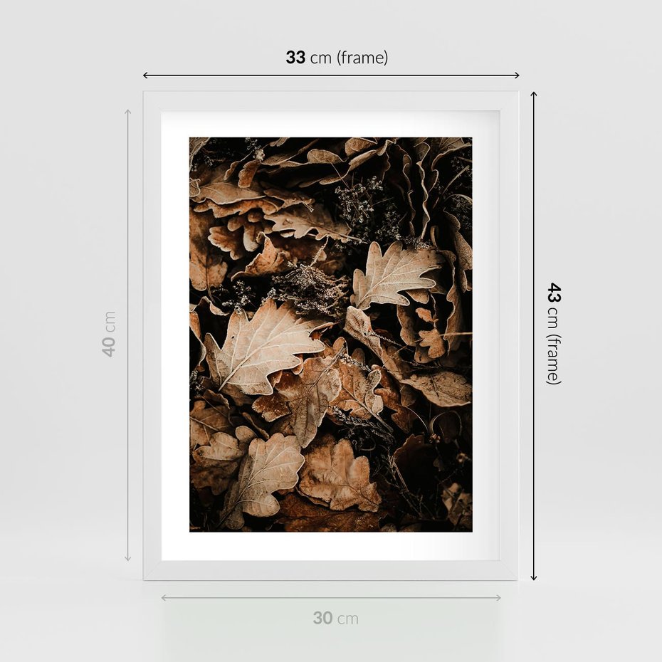 Plakat w ramie 30x40 - Jesienna Melodia: Liście i Szyszki - suche liście, szyszki - rama biała
