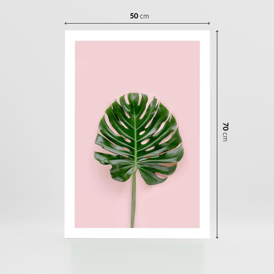 Plakat bez ramy 50x70 - Egzotyczna Roślinność - liście, monstera