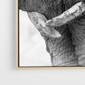 Obraz w ramie 50x70 - Spotkanie Mądrości - fotografia czarno biała, dwa słonie - rama drewno
