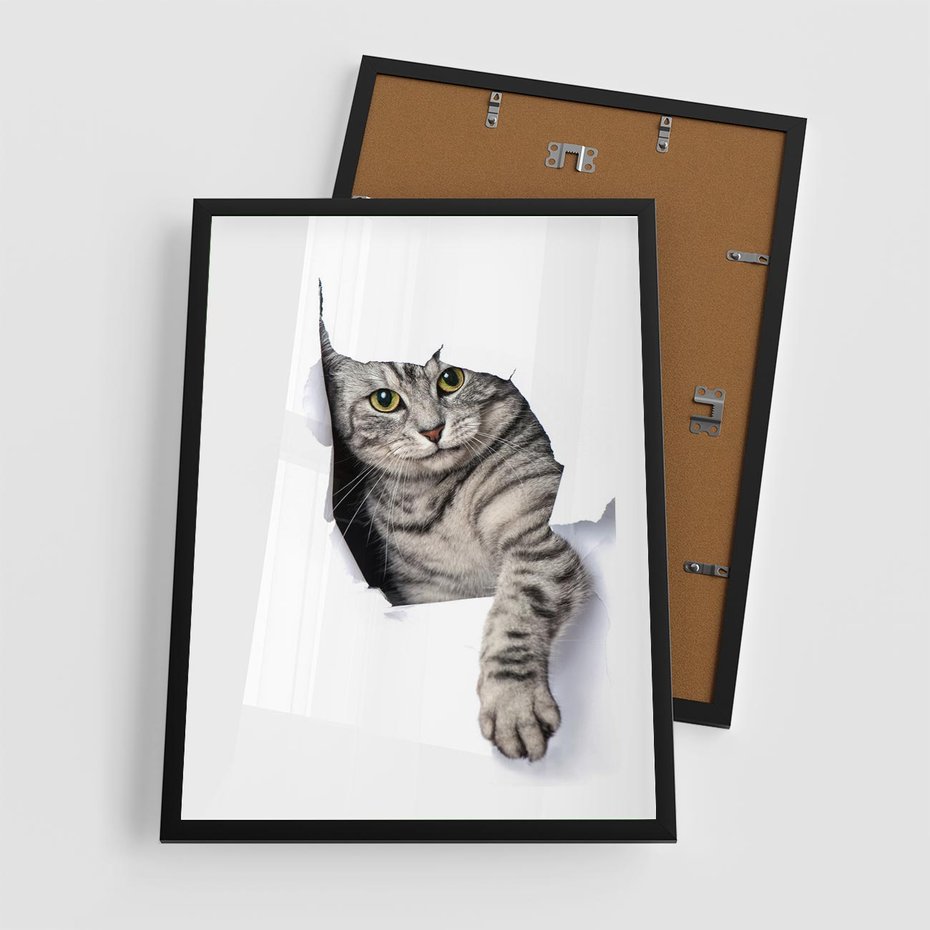 Plakat w ramie 50x70 - Tajemniczy kot i jego świat - kot, dziura - rama czarna