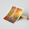 Plakat bez ramy 21x30 - Kolorowe drzewa na ścieżce jesieni - las, jesień
