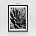Plakat w ramie 30x40 - Sukulenty wśród kaktusów - sukulenty, kaktusy - rama czarna