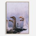 Obraz w ramie 50x70 - Spotkanie Wśród Piór - uchwycony moment, fotografia - rama drewno