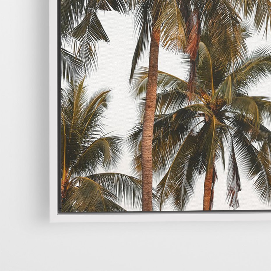 Obraz w ramie 80x120 - Palmy - tęsknota za Hawajami - palmy, Hawaje - rama biała