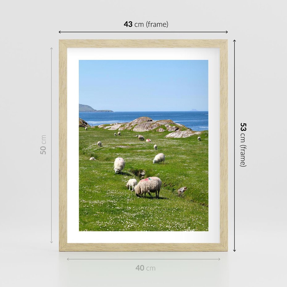 Plakat w ramie 40x50 - Górskie Owce - góry, owce - rama drewno