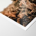 Plakat bez ramy 30x40 - Jesienna Harmonia - suche paprocie, jesienny krajobraz