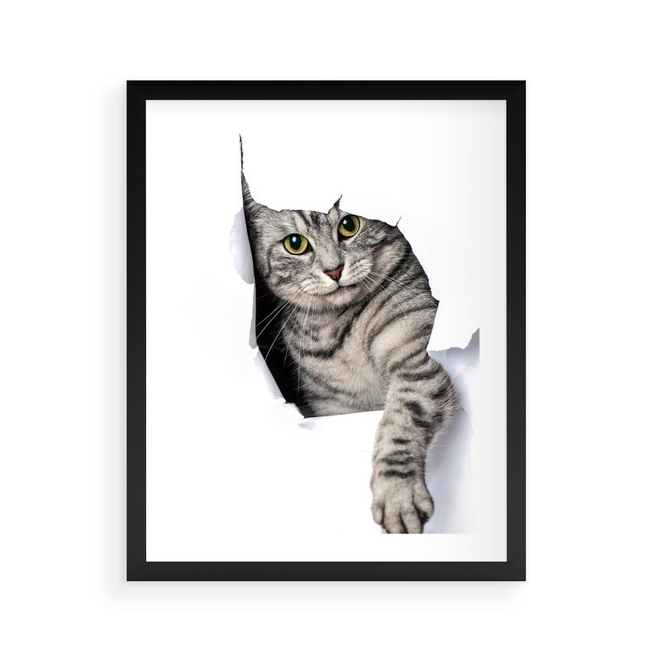 Plakat w ramie 40x50 - Tajemniczy kot i jego świat - kot, dziura - rama czarna