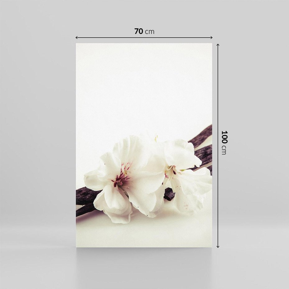 Obraz na płótnie 70x100 - Czuła delikatność wanilii - wanilia, kwiaty