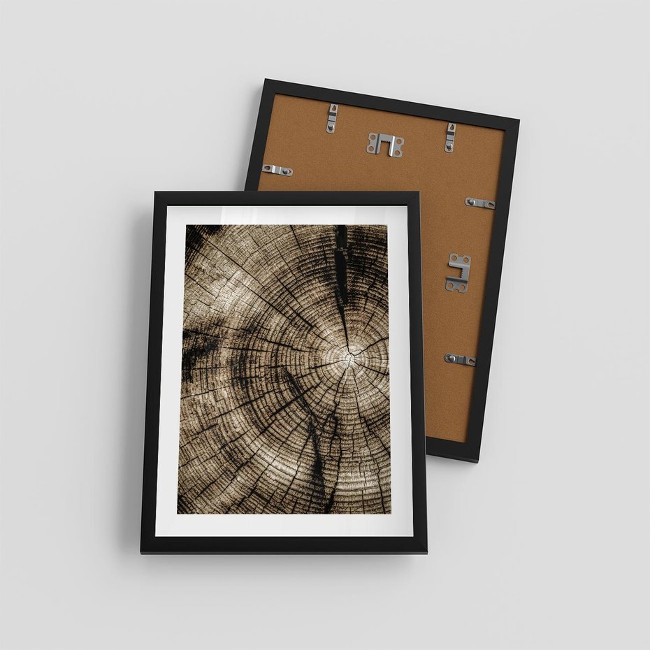 Plakat w ramie 30x40 - Natura Pod Lupą - pień drzewa, przekrój - rama czarna