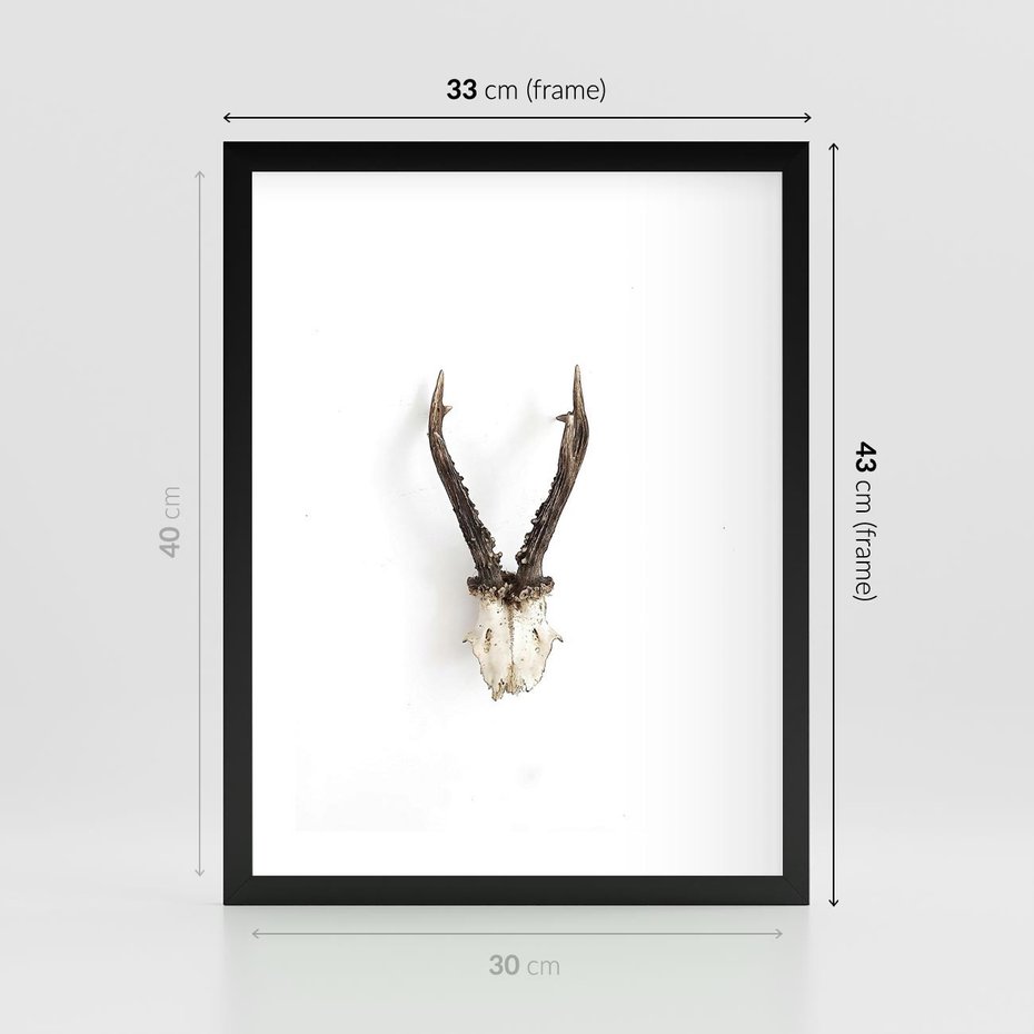 Plakat w ramie 30x40 - Minimalistyczne Poroże Jelenia - poroże jelenia na ścianie, minimalizm - rama czarna