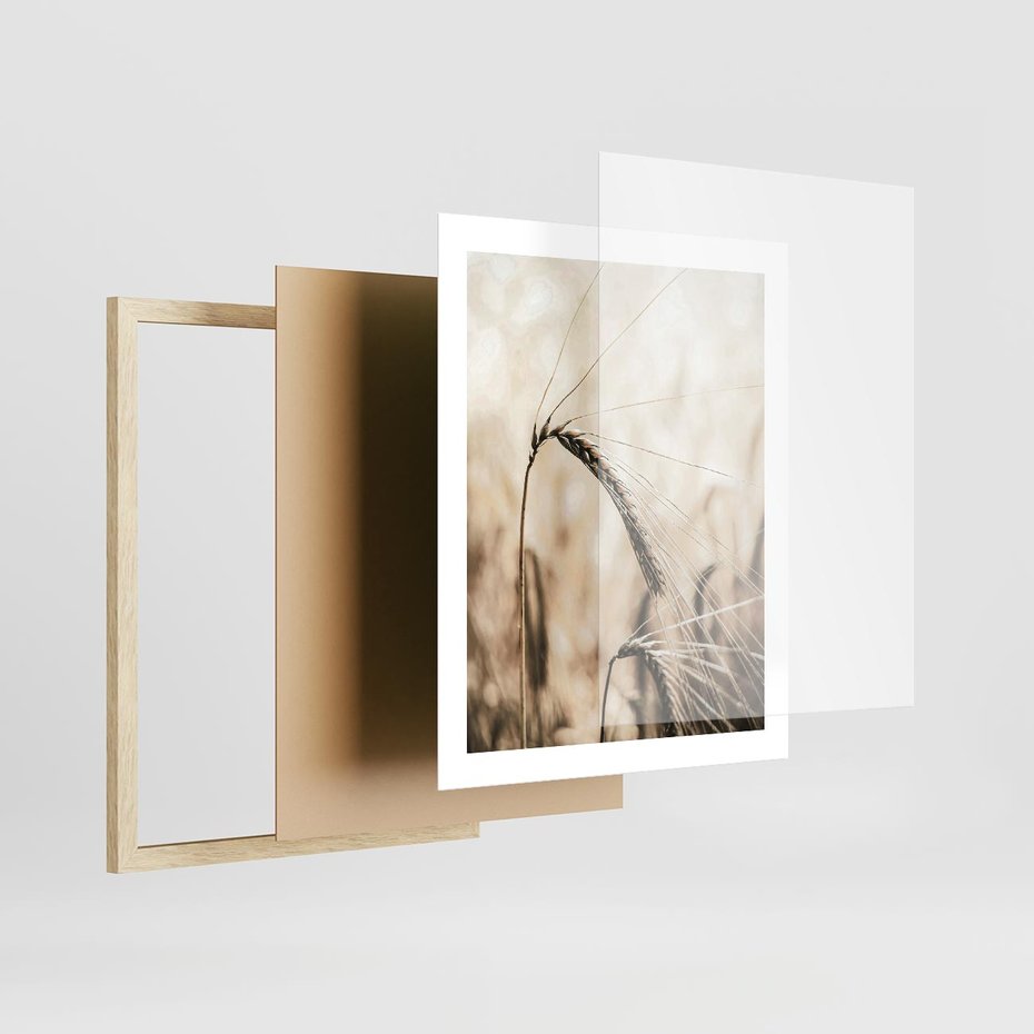 Plakat w ramie 40x50 - Źdźbło Pszenicy: Blisko Natury - źdźbło pszenicy, pszenica - rama drewno