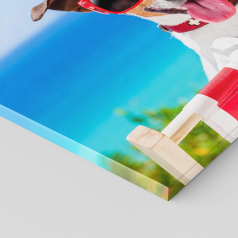 Obraz na płótnie 70x50 - Wakacyjny pies: Słoneczne przygody - pies, wakacje