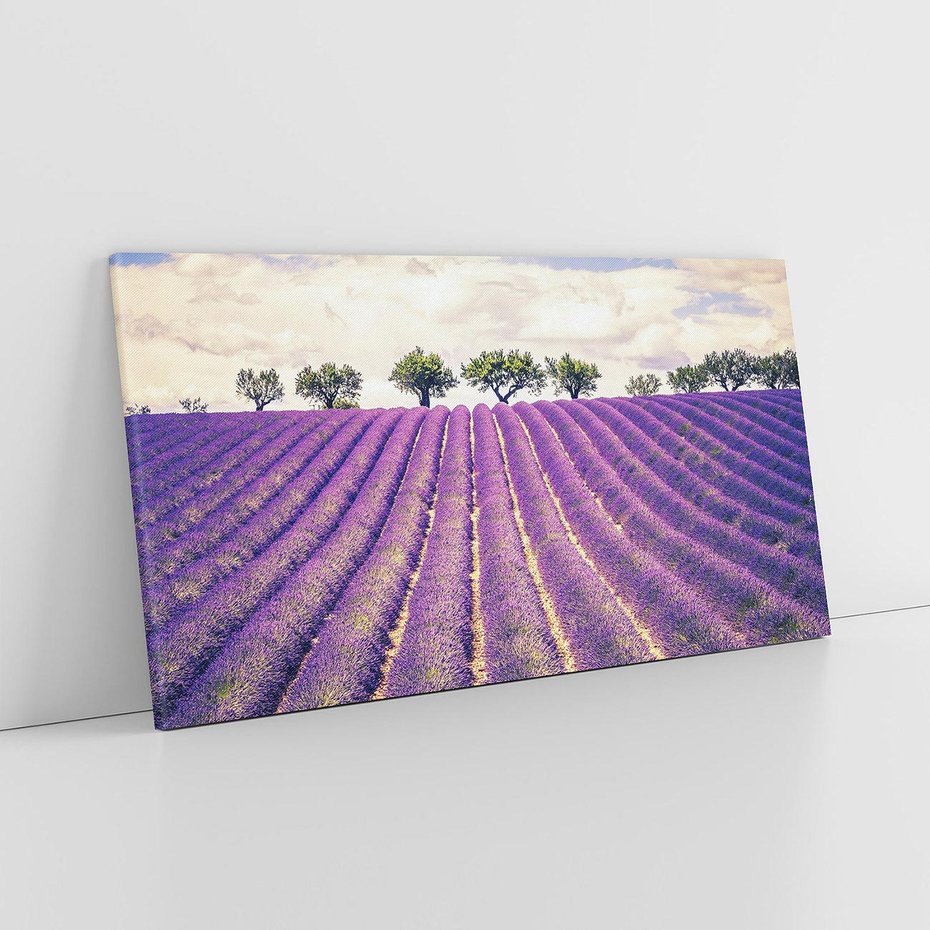 Obraz na płótnie 140x70 - Uroda Lawendy: Kwiatowy Cud Natury - lawenda, kwiaty