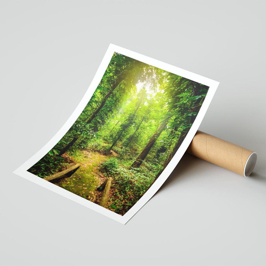 Plakat bez ramy 30x40 - Współistnienie z naturą - drzewa, las