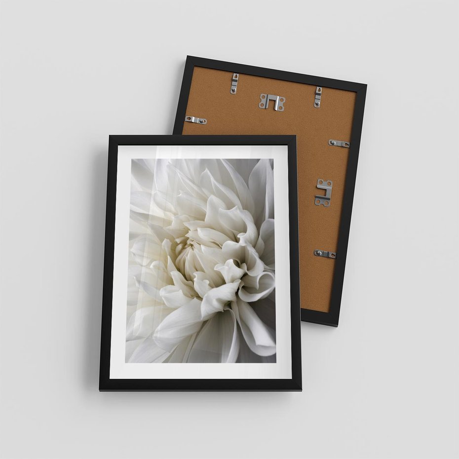 Plakat w ramie 30x40 - Białe Kwiaty Delikatności - białe, kwiaty - rama czarna