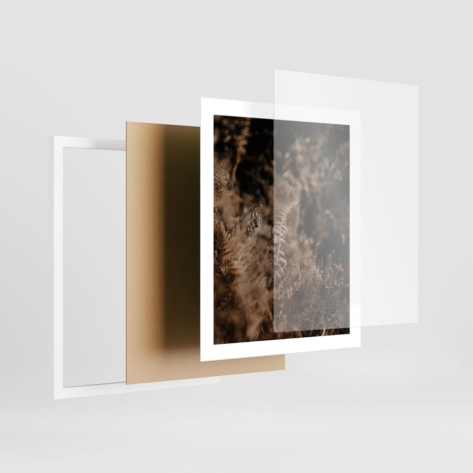 Plakat w ramie 40x50 - Delikatne Detale - paprocie, brąz - rama biała