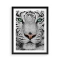 Plakat w ramie 50x70 - Magia Białego Tygrysa - biały, tygrys - rama czarna