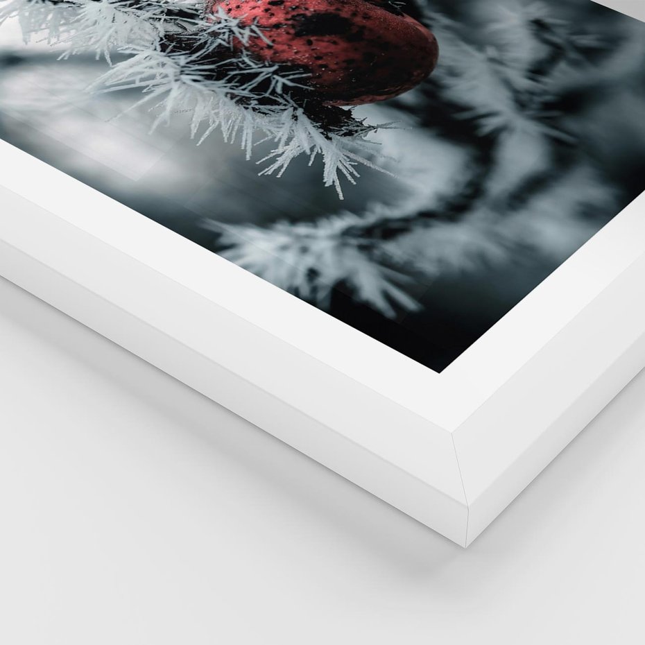 Plakat w ramie 40x50 - Chwila Zimowego Uroku - zima, ośnieżona gałązka - rama biała