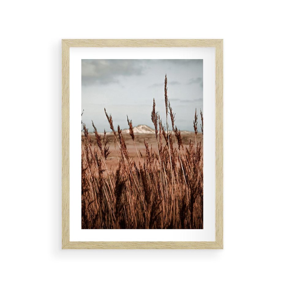 Plakat w ramie 30x40 - Wysokie Trawy w Górskim Krajobrazie - suche trawy, wysokie trawy - rama drewno