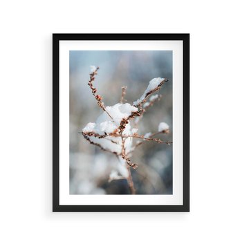 Plakat w ramie 40x50 - Zimowy Urok Natury - gałązki pod śniegiem, natura - rama czarna