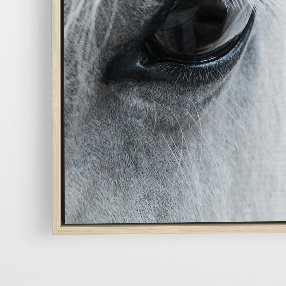 Obraz w ramie 50x50 - Oko Mocy - czarno białe zdjęcie, zbliżenie makro na oko konia - rama drewno