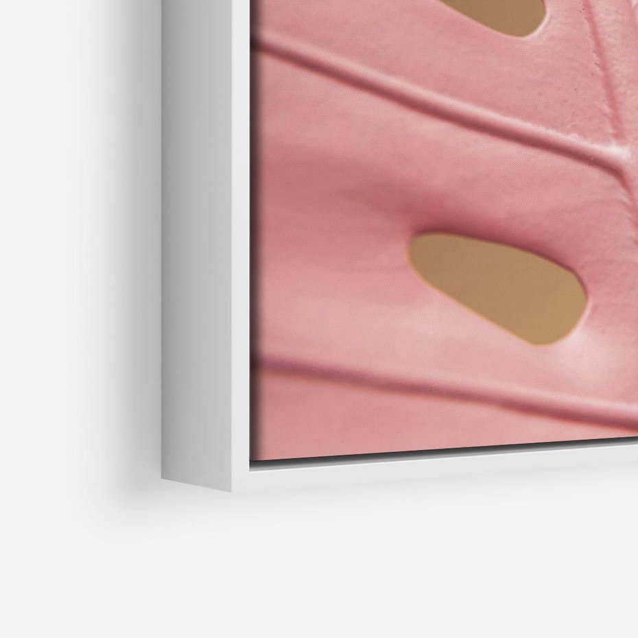 Obraz w ramie 80x80 - Różowa monstera w pełnym rozkwicie - różowa, monstera - rama biała