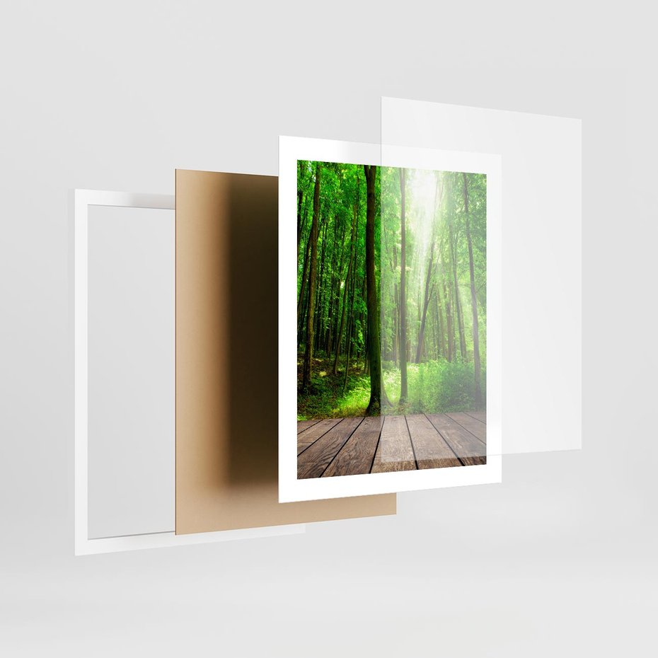 Plakat w ramie 40x50 - Spacer po urokliwej dróżce w lesie - las, dróżka - rama biała