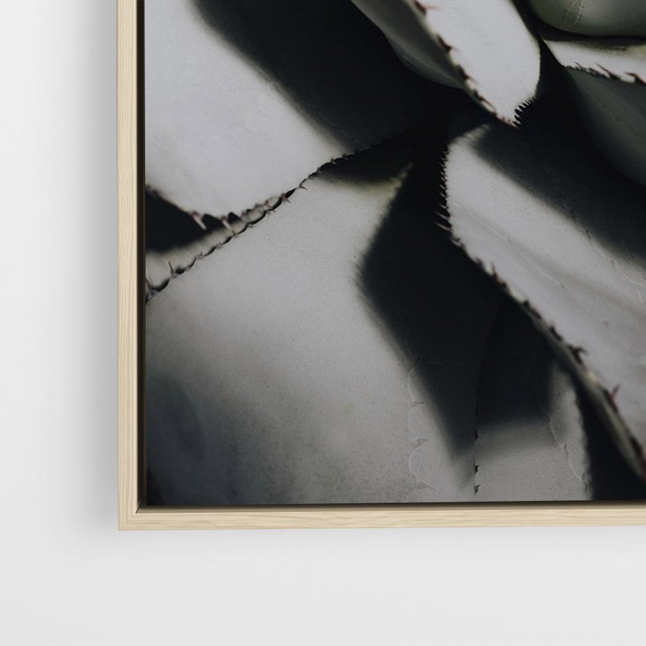 Obraz w ramie 50x70 - Sukulenty wśród kaktusów - sukulenty, kaktusy - rama drewno