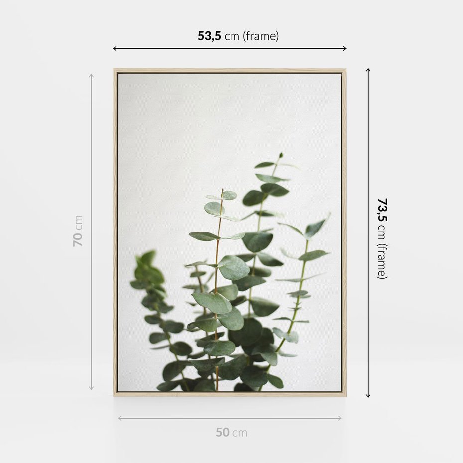 Obraz w ramie 50x70 - Żywa eukaliptusowa zieleń - eukaliptus, zielone - rama drewno