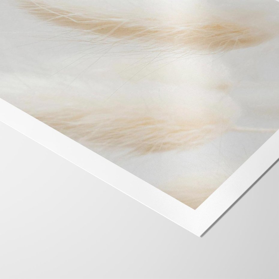 Plakat bez ramy 21x30 - Czysty Minimalizm - białe trawy, minimalizm