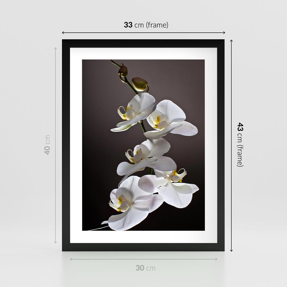 Plakat w ramie 30x40 - SPA: harmonia z kwiatami - spa, kwiaty - rama czarna