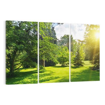 Obraz na płótnie 120x80 - Ogród: urok drzew i roślinności - ogród, drzewa