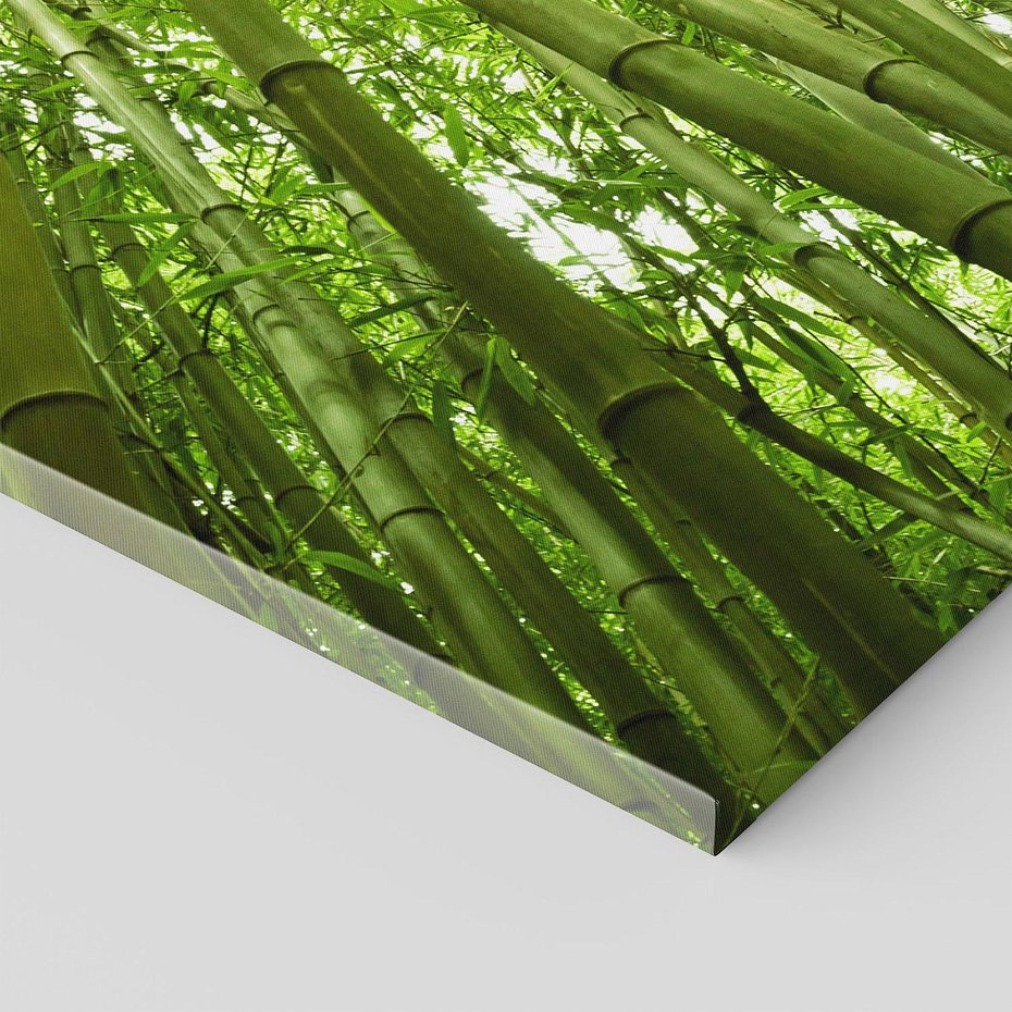 Obraz na płótnie 100x70 - Siła Natury - drzewa, las