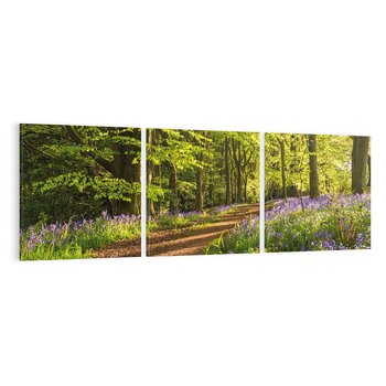 Obraz na płótnie 120x40 - Magia lasu: Drzewa w tajemniczej otoczce - las, drzewa