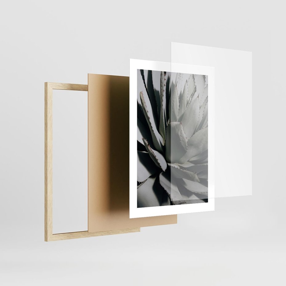 Plakat w ramie 30x40 - Egzotyczny Raj - sukulenty, kaktusy - rama drewno